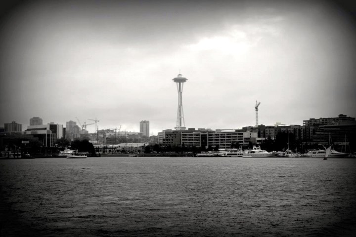 1236312_896308074595_1829100353_n