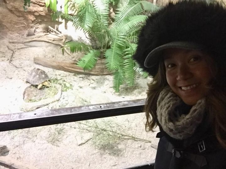 88b28d87-1fce-44ba-a4c6-307eb90198fe