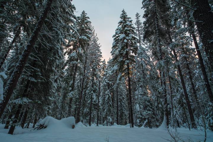 12525393_10156384970635548_8187760859346921210_o