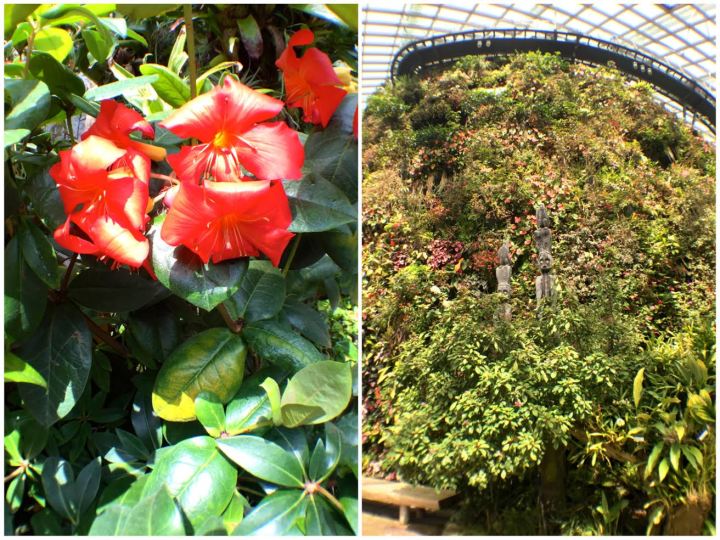 18062db7-82f5-48fe-860f-44797b08433c