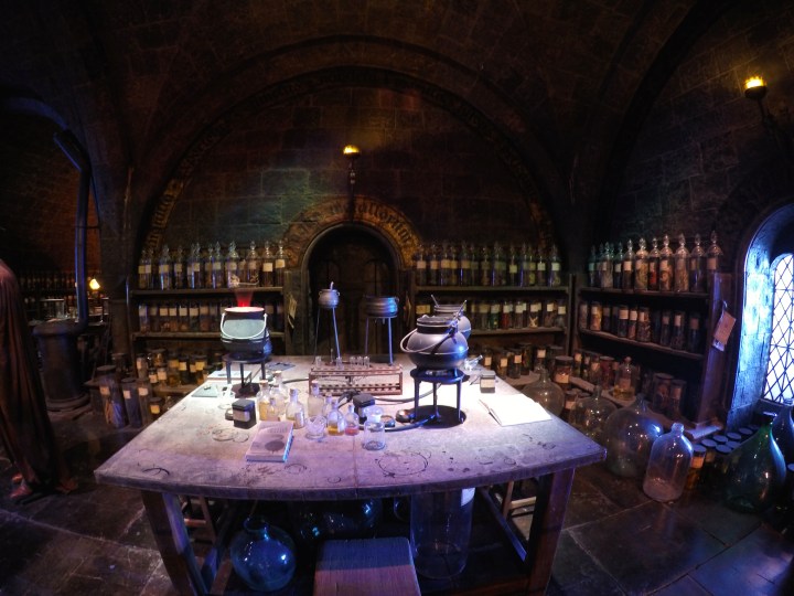 DCIM100GOPROGOPR1484.