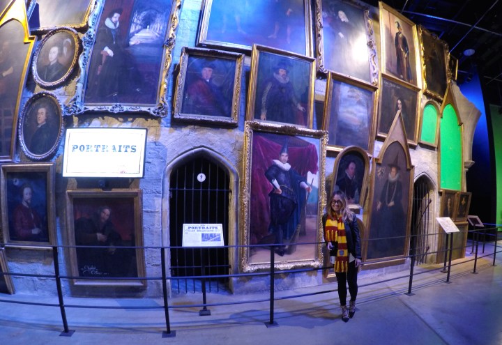 DCIM100GOPROGOPR1491.