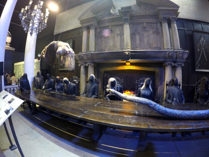 DCIM100GOPROGOPR1510.