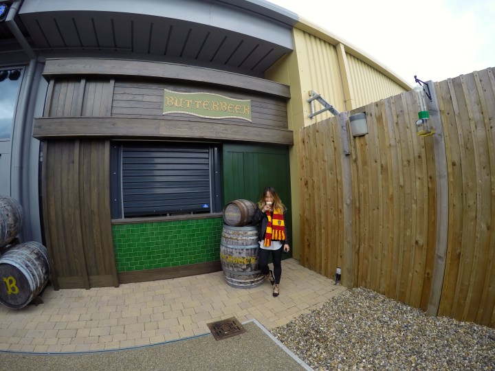 DCIM100GOPROGOPR1548.