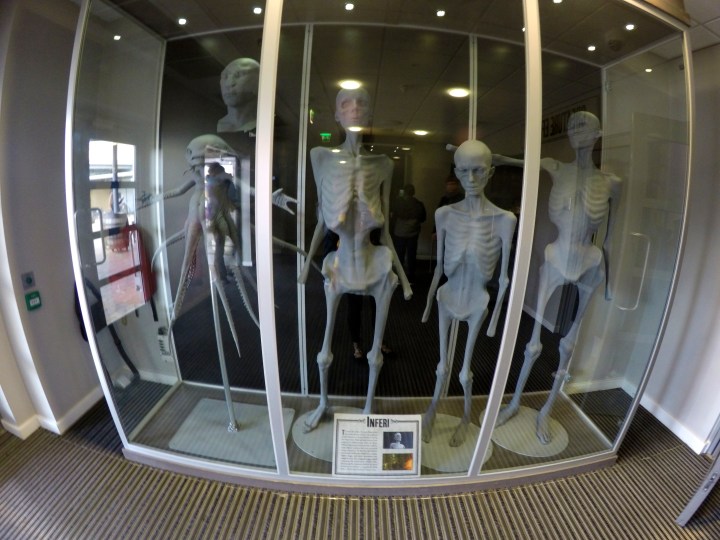 DCIM100GOPROGOPR1571.