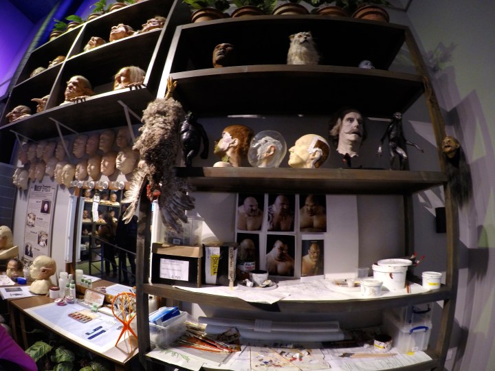 DCIM100GOPROGOPR1572.