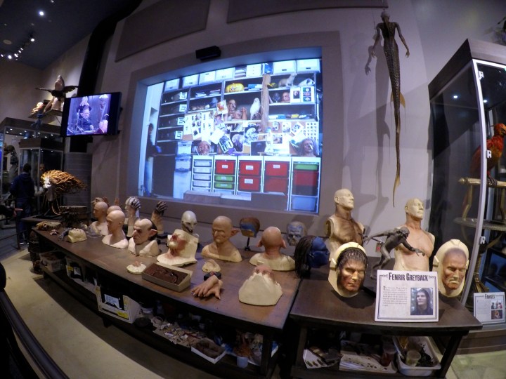 DCIM100GOPROGOPR1574.