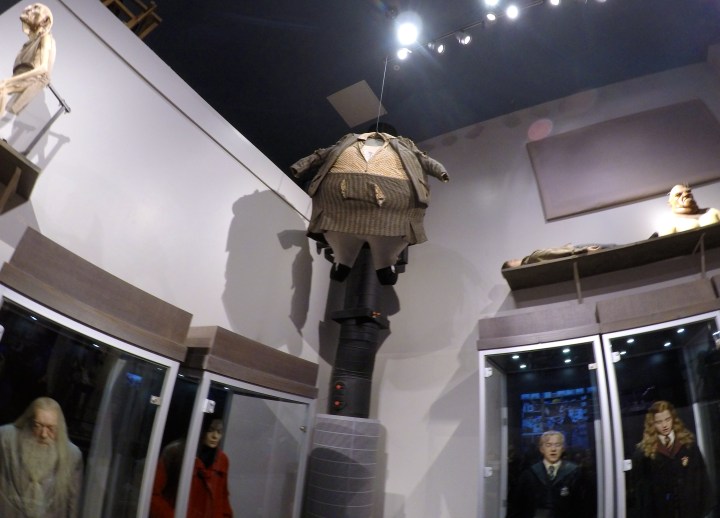 DCIM100GOPROGOPR1575.