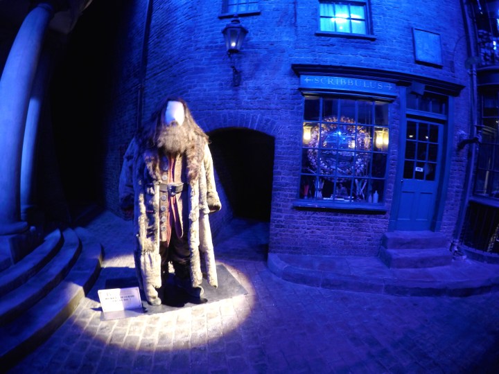 DCIM100GOPROGOPR1583.