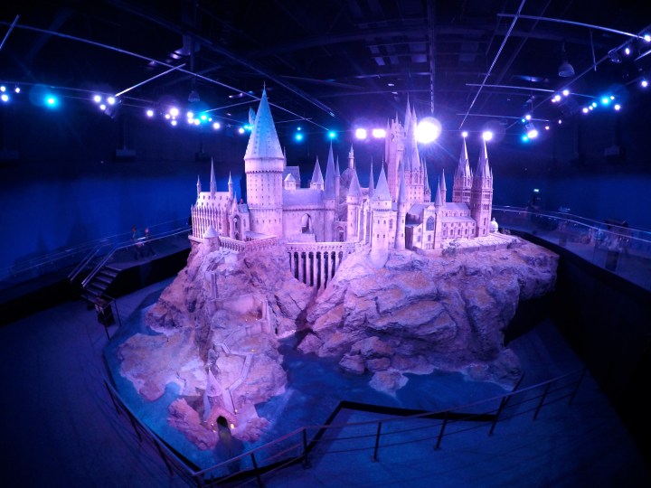 DCIM100GOPROGOPR1597.