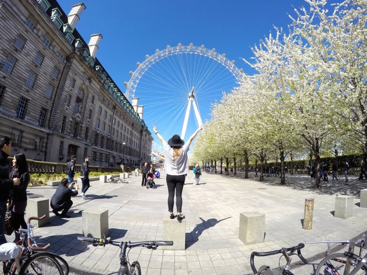 DCIM101GOPROGOPR2005.