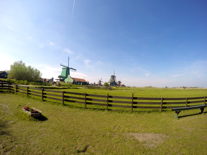 DCIM101GOPROGOPR2390.