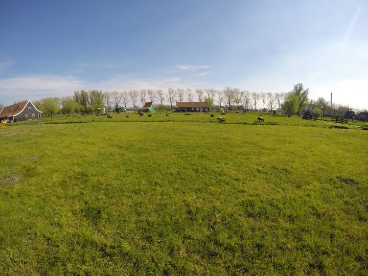 DCIM101GOPROGOPR2398.