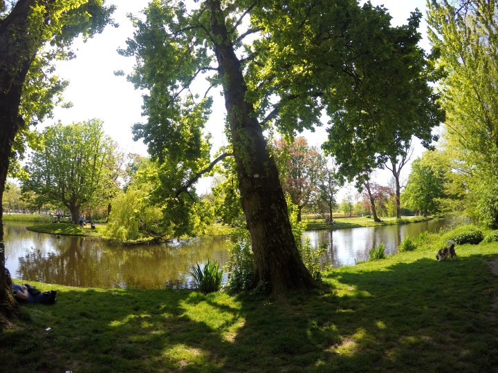 DCIM101GOPROGOPR2444.