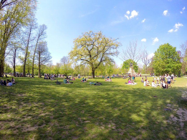 DCIM101GOPROGOPR2452.