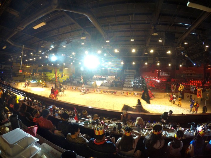 DCIM101GOPROGOPR2682.