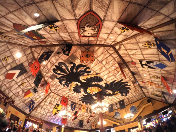 DCIM101GOPROGOPR2695.