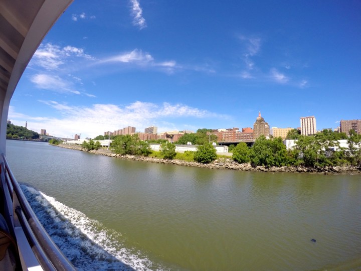 DCIM101GOPROGOPR2854.