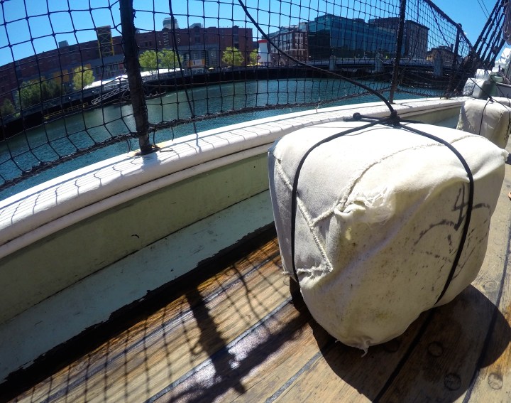 DCIM102GOPROGOPR3173.