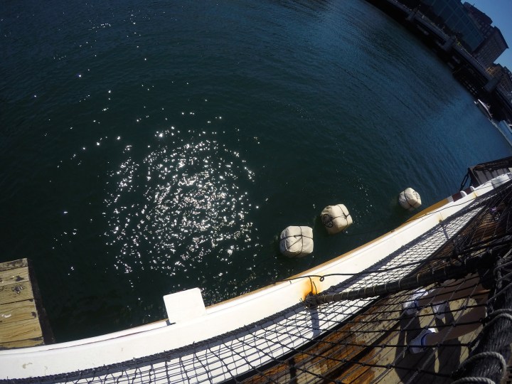 DCIM102GOPROGOPR3188.