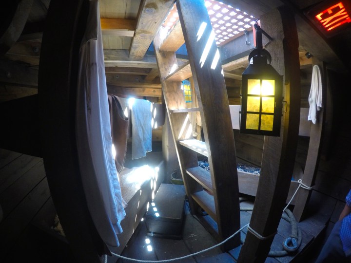 DCIM102GOPROGOPR3196.