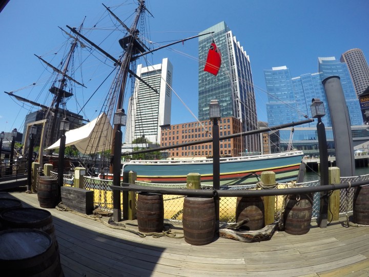 DCIM102GOPROGOPR3238.