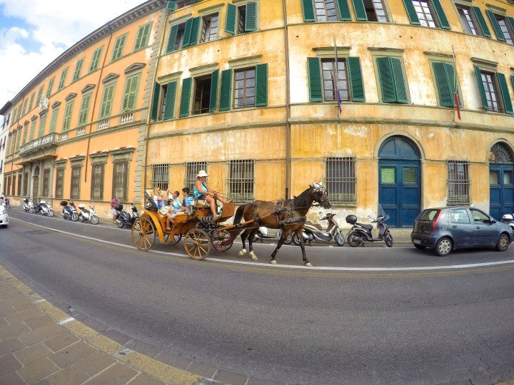 DCIM102GOPROGOPR4601.