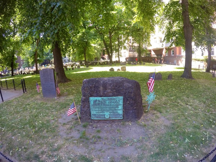 DCIM102GOPROGOPR3355.