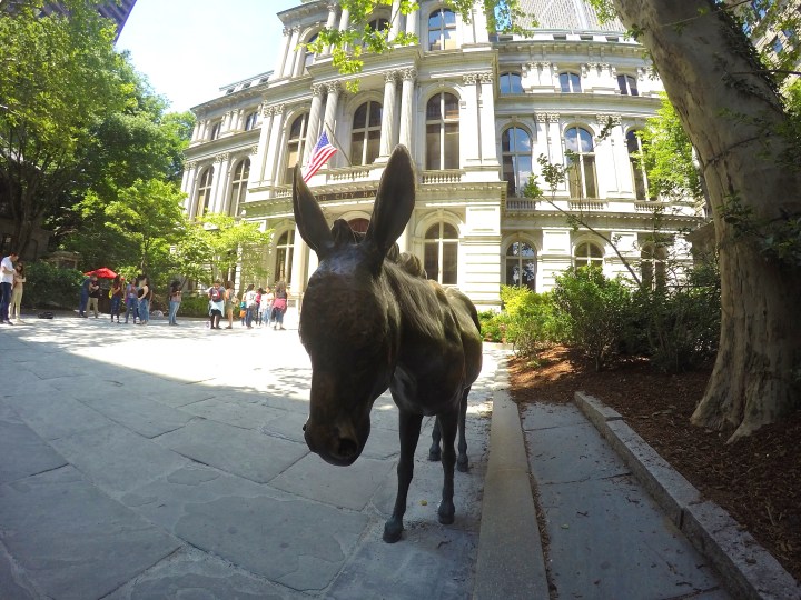 DCIM102GOPROGOPR3369.