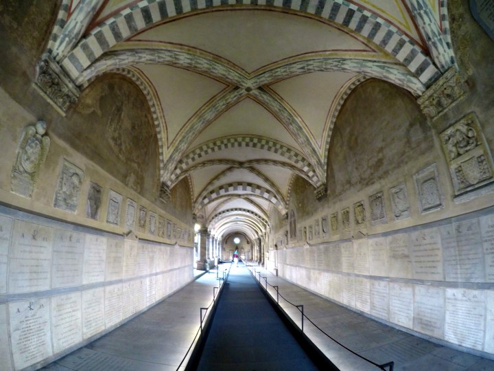 DCIM103GOPROGOPR5150.